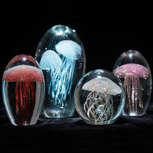 Glass Jellyfish Paperweight - Pink & Blue Hand-Blown